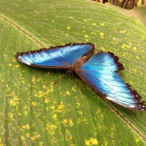 Meet your Posher, Nayanika